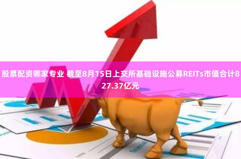 股票配资哪家专业 截至8月15日上交所基础设施公募REITs市值合计827.37亿元