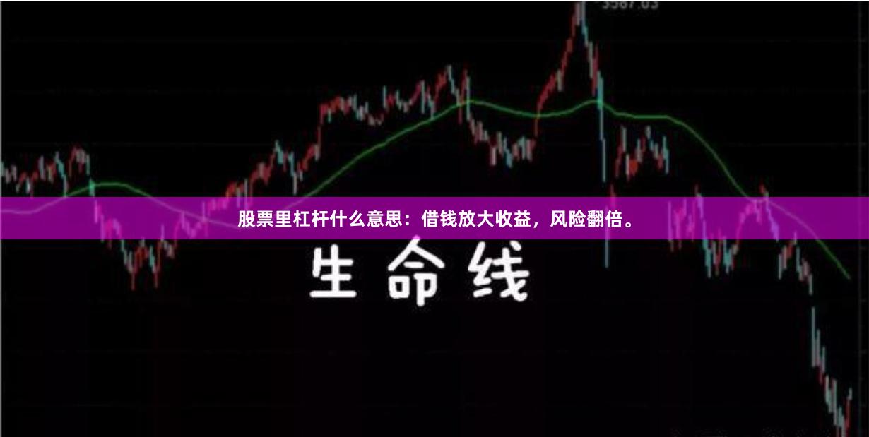 股票里杠杆什么意思：借钱放大收益，风险翻倍。