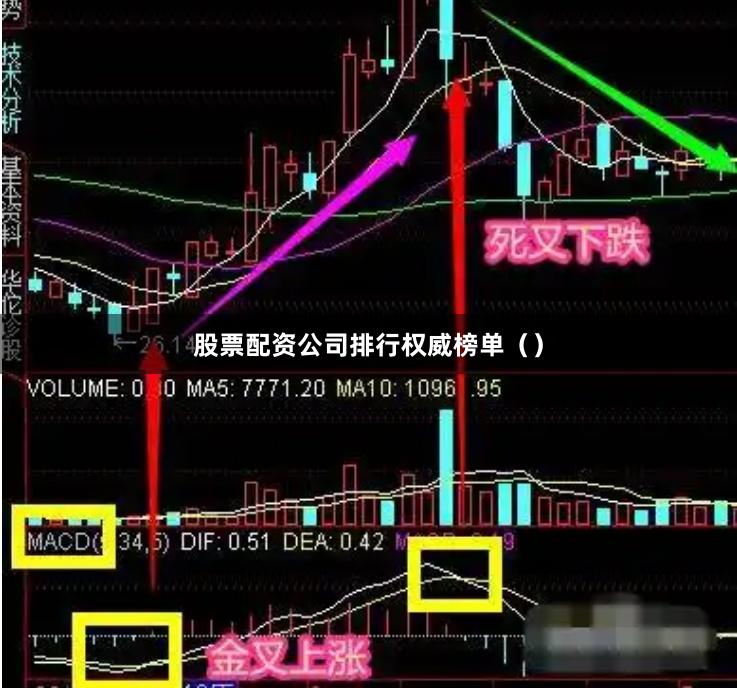 股票配资公司排行权威榜单（）